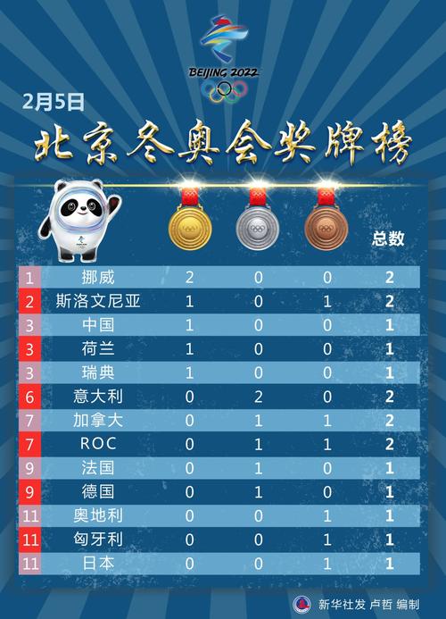 冬奥会的奖牌榜是什么,冬奥会的奖牌榜是什么样的
