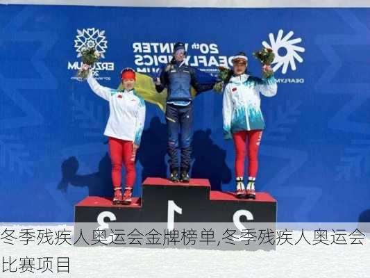 冬季残疾人奥运会金牌榜单,冬季残疾人奥运会比赛项目