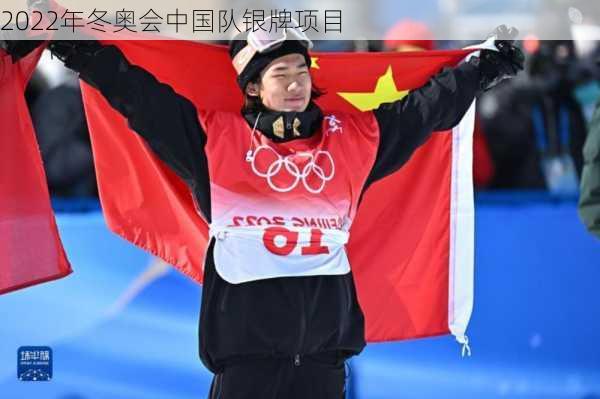 2022年冬奥会中国队银牌项目