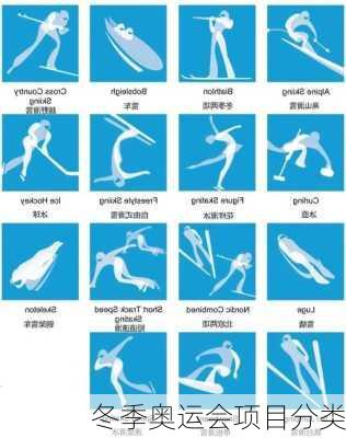 冬季奥运会项目分类