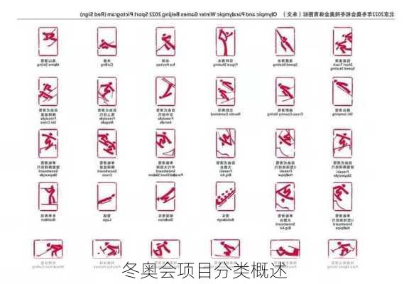 冬奥会项目分类概述
