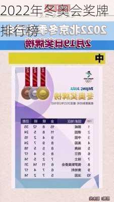 2022年冬奥会奖牌排行榜