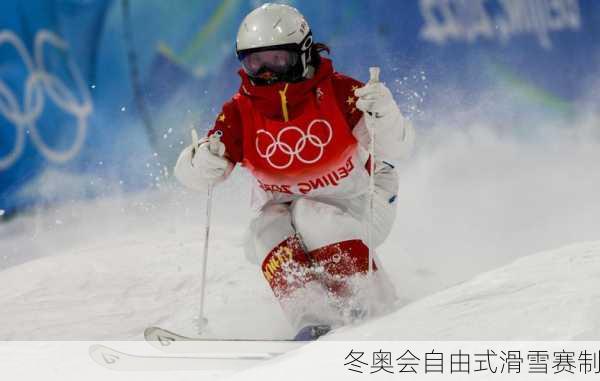 冬奥会自由式滑雪赛制