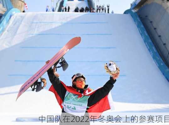 中国队在2022年冬奥会上的参赛项目