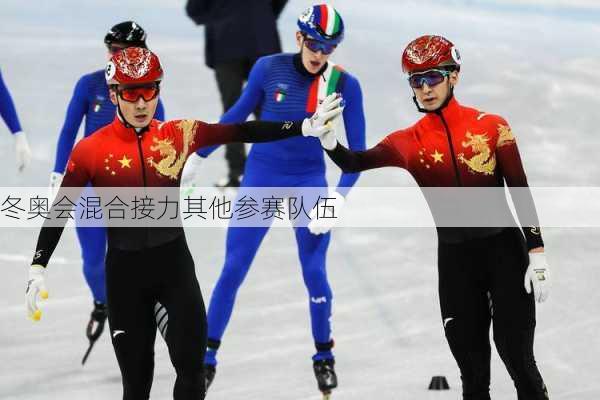 冬奥会混合接力其他参赛队伍