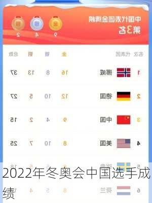 2022年冬奥会中国选手成绩
