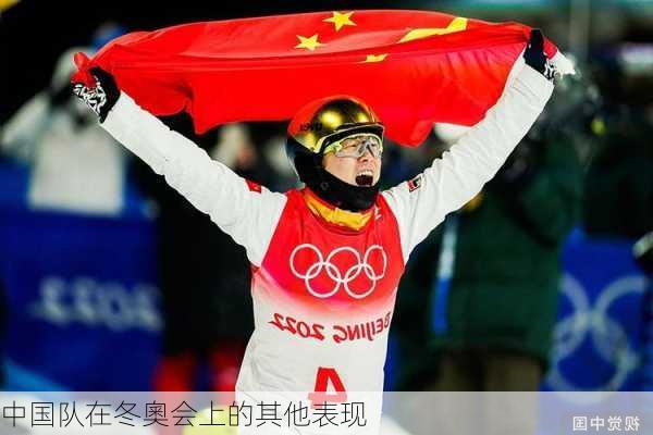 中国队在冬奧会上的其他表现