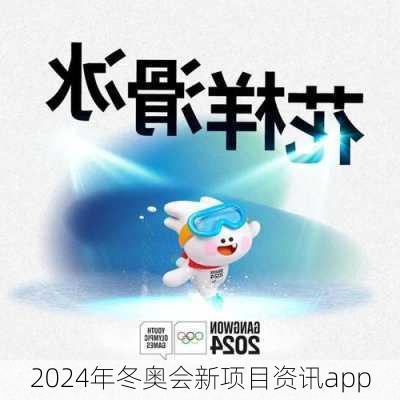 2024年冬奥会新项目资讯app