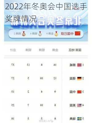 2022年冬奥会中国选手奖牌情况
