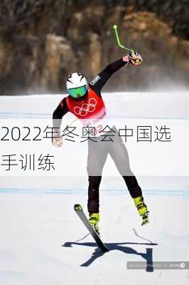 2022年冬奥会中国选手训练