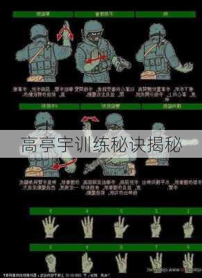 高亭宇训练秘诀揭秘
