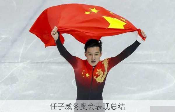 任子威冬奥会表现总结