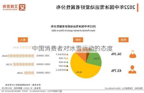 中国消费者对冰雪运动的态度