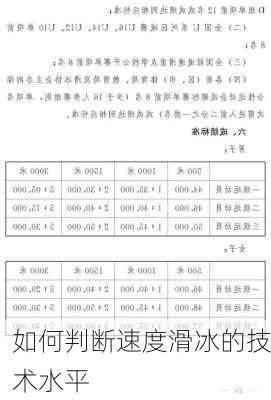如何判断速度滑冰的技术水平