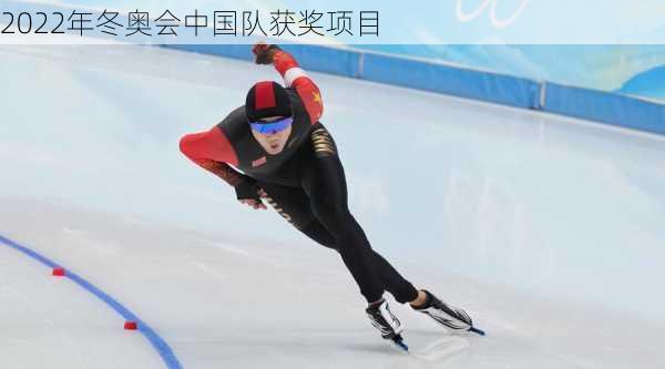 2022年冬奥会中国队获奖项目