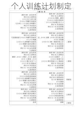个人训练计划制定