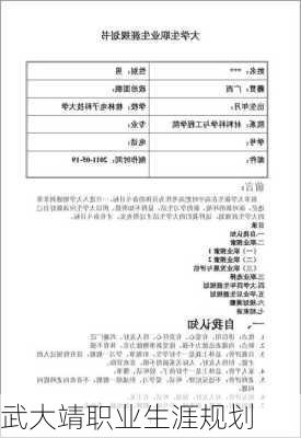 武大靖职业生涯规划