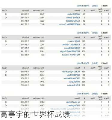 高亭宇的世界杯成绩