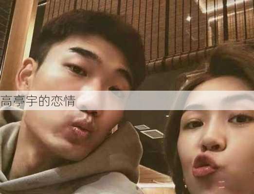 高亭宇的恋情