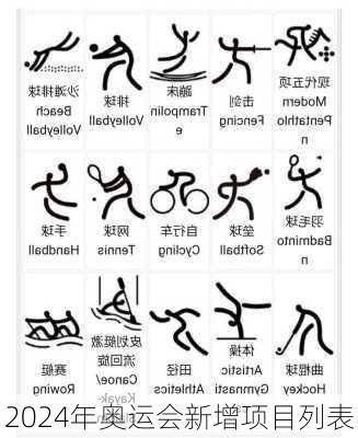 2024年奥运会新增项目列表