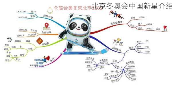 北京冬奥会中国新星介绍