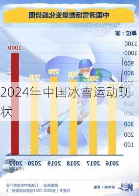 2024年中国冰雪运动现状