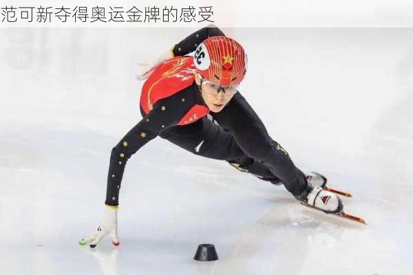 范可新夺得奥运金牌的感受