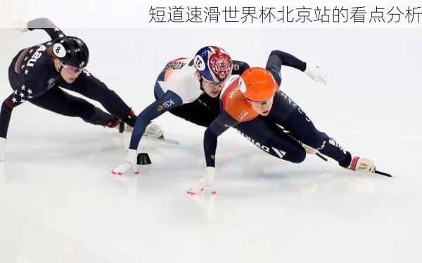 短道速滑世界杯北京站的看点分析