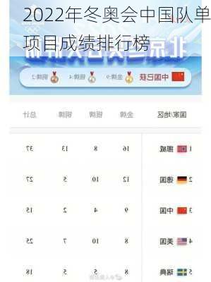 2022年冬奥会中国队单项目成绩排行榜