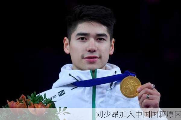 刘少昂加入中国国籍原因