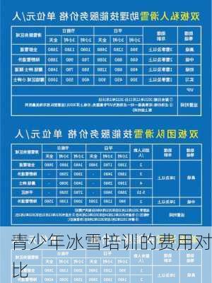 青少年冰雪培训的费用对比