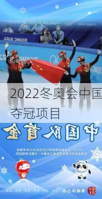 2022冬奥会中国夺冠项目