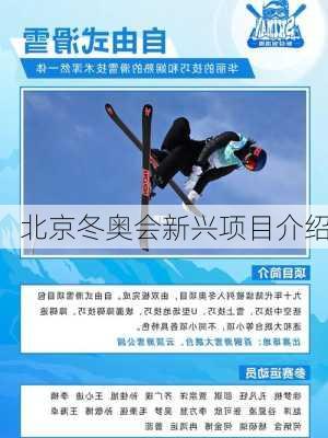 北京冬奥会新兴项目介绍