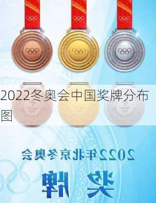 2022冬奥会中国奖牌分布图