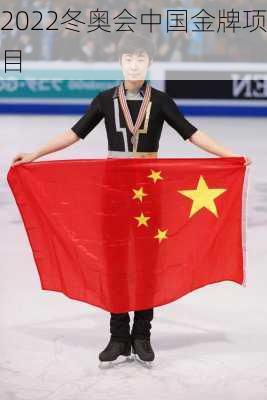 2022冬奥会中国金牌项目