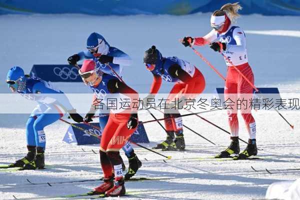 各国运动员在北京冬奥会的精彩表现