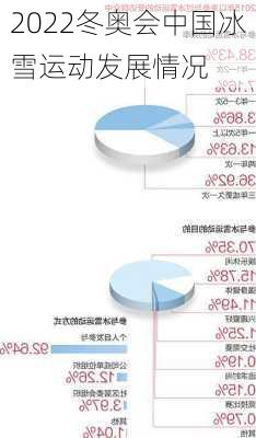 2022冬奥会中国冰雪运动发展情况