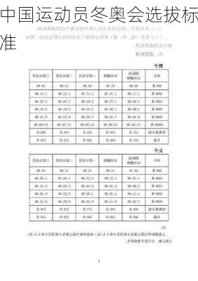中国运动员冬奥会选拔标准