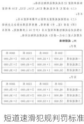 短道速滑犯规判罚标准