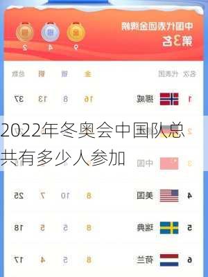 2022年冬奥会中国队总共有多少人参加