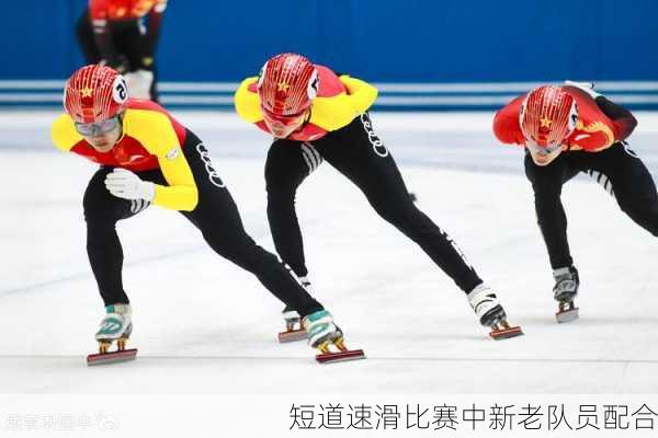 短道速滑比赛中新老队员配合