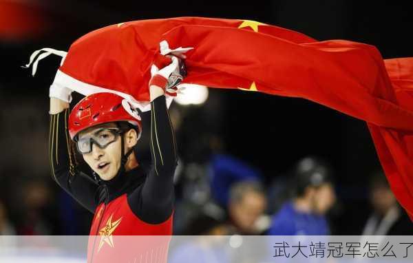 武大靖冠军怎么了