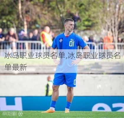 冰岛职业球员名单,冰岛职业球员名单最新