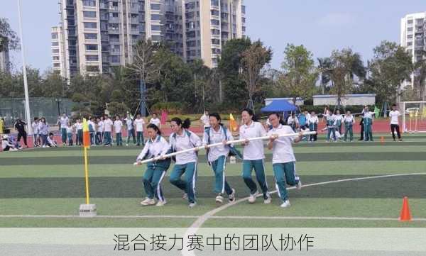 混合接力赛中的团队协作