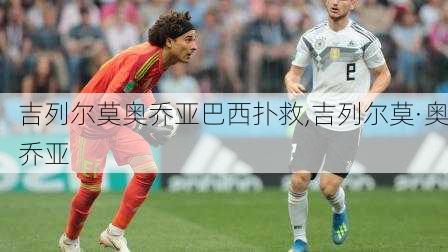 吉列尔莫奥乔亚巴西扑救,吉列尔莫·奥乔亚