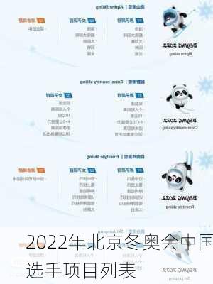 2022年北京冬奥会中国选手项目列表