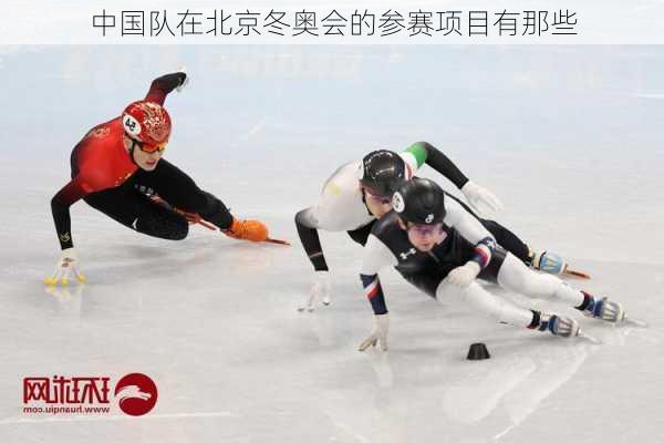 中国队在北京冬奥会的参赛项目有那些
