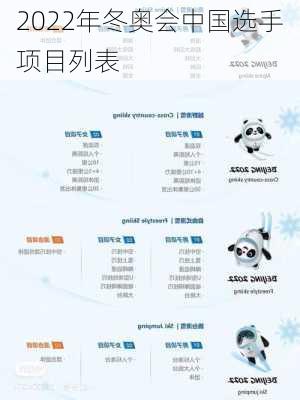 2022年冬奥会中国选手项目列表