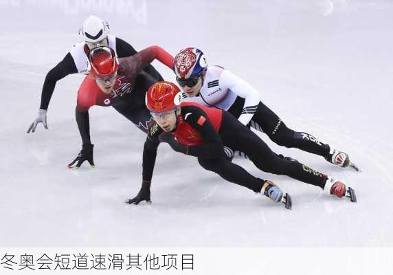 冬奥会短道速滑其他项目
