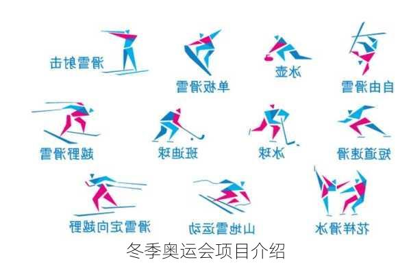冬季奥运会项目介绍